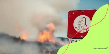 Wildfire evacuation policy updates you need to know